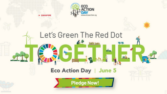 Eco Action Day