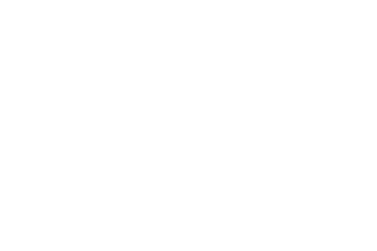 mag_gepunktet